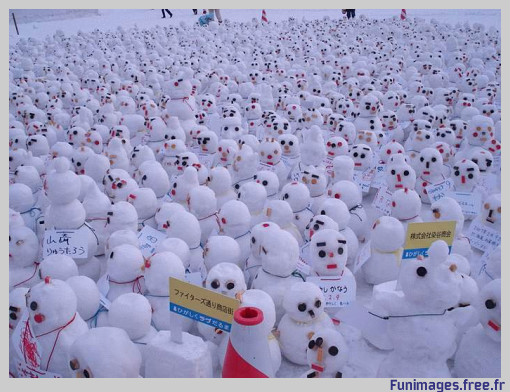 funimages image photo insolite humour climat froid neige hiver